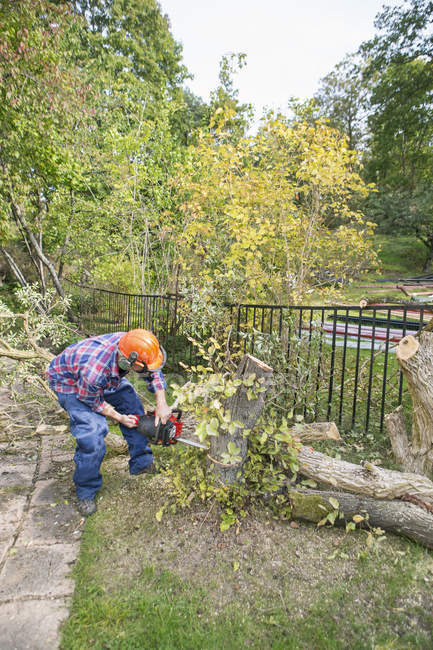 Homem de roupa protetora cortando árvores — Fotografia de Stock