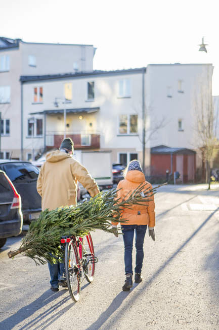 Vue arrière d'un couple d'âge mûr transportant un arbre de Noël à vélo — Photo de stock