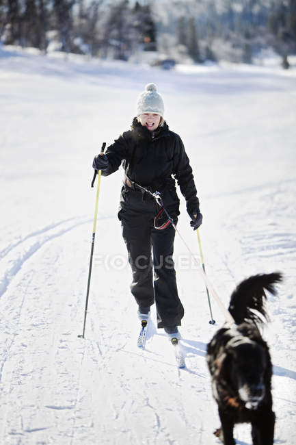 Молодая женщина катается на лыжах с собакой в Швеции — стоковое фото