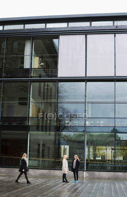 Junge erwachsene Frauen reden an der Glaswand des Universitätsgebäudes — Stockfoto