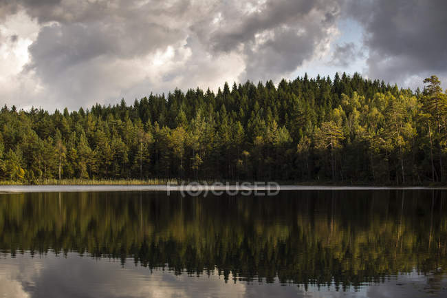 Lago refletindo floresta em Harskogen, Suecia — Fotografia de Stock