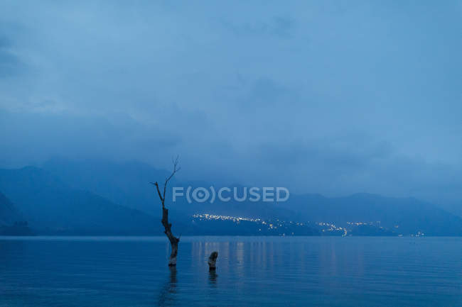 Vista panorámica del árbol en el lago Atitilan por la noche en Guatemala - foto de stock