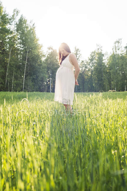 Pregnant woman standing in field, focus on foreground — Stock Photo