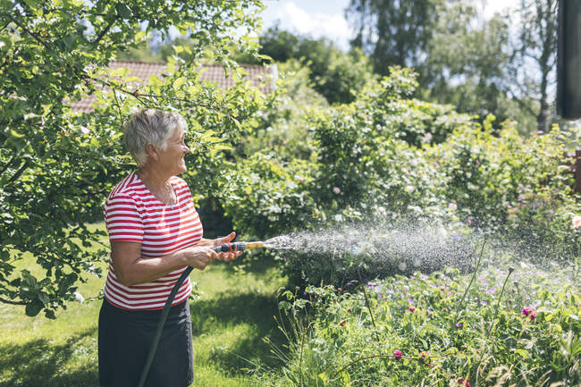 Femme aînée arrosage jardin avec tuyau — Photo de stock