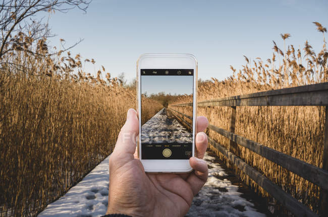 Mano masculina sosteniendo el teléfono inteligente, tomando una foto del campo de invierno - foto de stock
