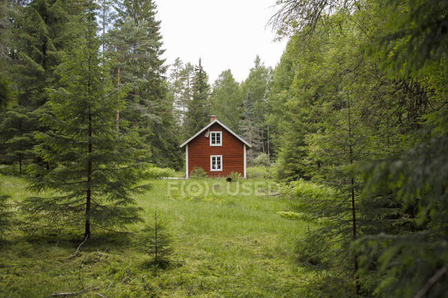 Vista panorámica de la cabaña en el bosque en Ostergotland, Suecia - foto de stock
