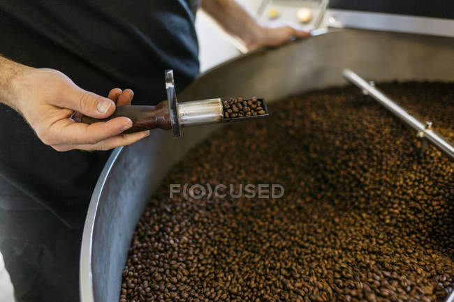 Vista cortada do homem segurando a ferramenta de torrefação de café — Fotografia de Stock