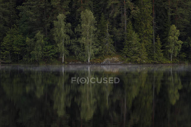 Malerischer Blick auf Fluss und Bäume in Ostgotland, Schweden — Stockfoto
