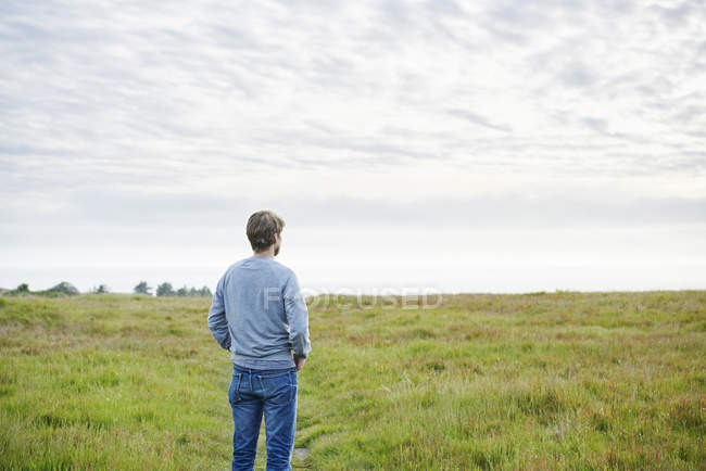 Вид сзади взрослого мужчины средних лет на поле в Калифорнии, США — стоковое фото