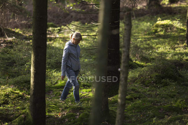 Mitte erwachsene Frau spaziert im Wald bei harskogen, schweden — Stockfoto