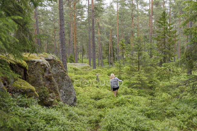 Вид сзади женщины, идущей по лесу в Швеции — стоковое фото