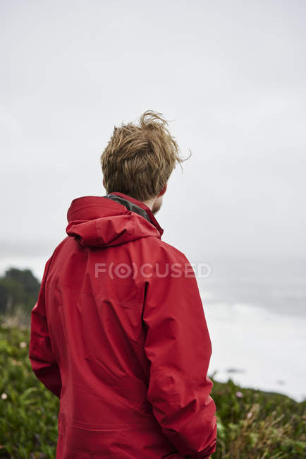 Vista trasera del hombre en Big Sur en California, EE.UU., enfoque selectivo - foto de stock