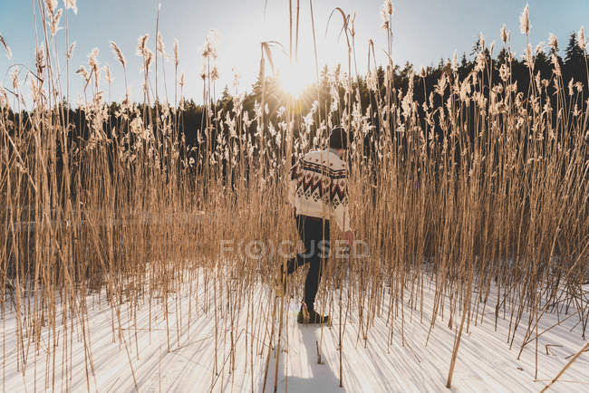Mann im Weizenfeld im Winter, selektiver Fokus — Stockfoto