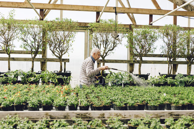 Gartencenter-Mitarbeiter gießt Garten, selektiver Fokus — Stockfoto