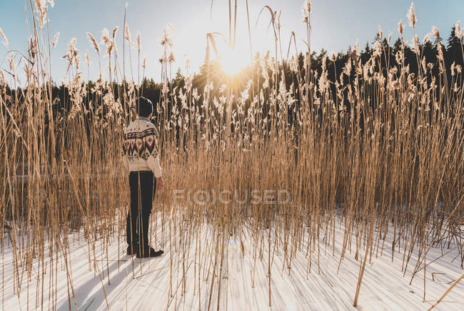 Homme dans le champ de blé en hiver, orientation sélective — Photo de stock