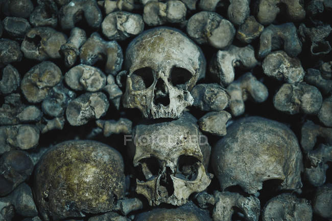 Черепа человека в катакомбах в Париже, Франция — стоковое фото