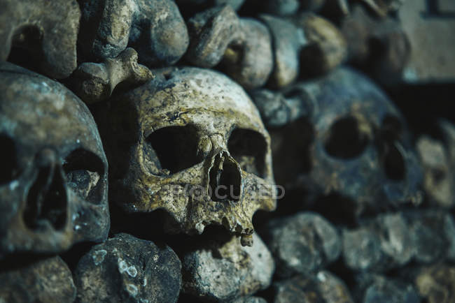 Teschi umani in catacomba a Parigi, Francia — Foto stock