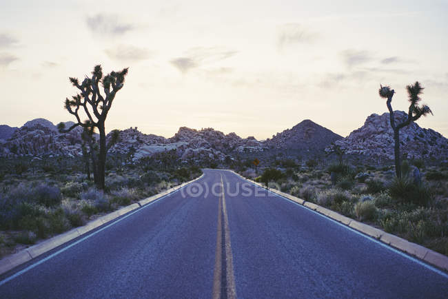 Scenic view of highway through Joshua Tree National Park, USA — Stock Photo