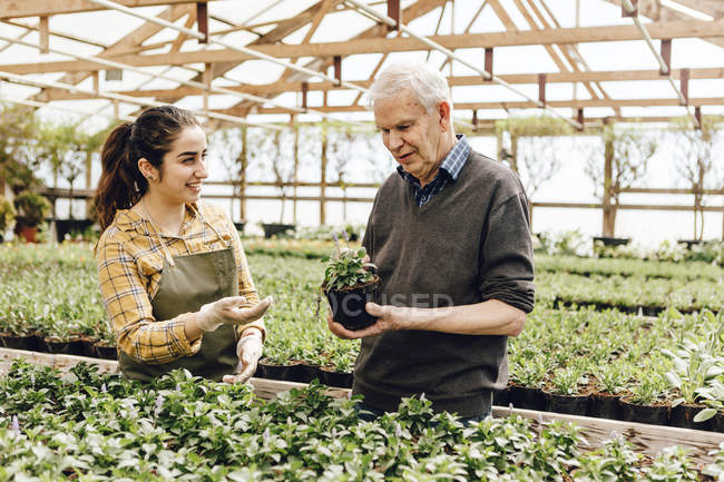 Lavoratori del Garden Center che parlano in serra, focus selettivo — Foto stock
