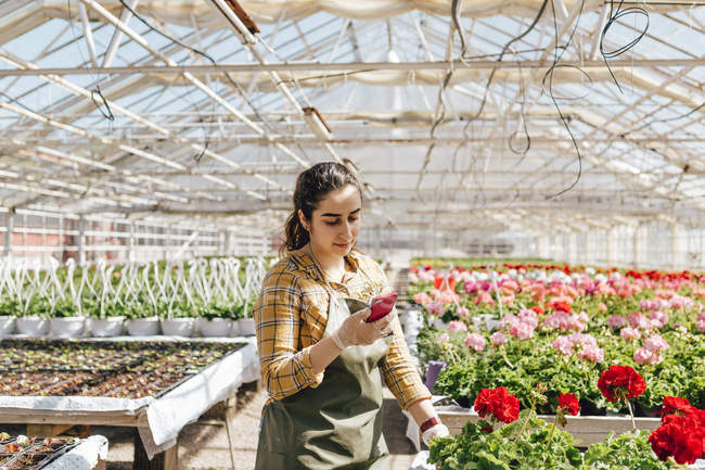 Gartencenter-Mitarbeiter mit Smartphone, selektiver Fokus — Stockfoto