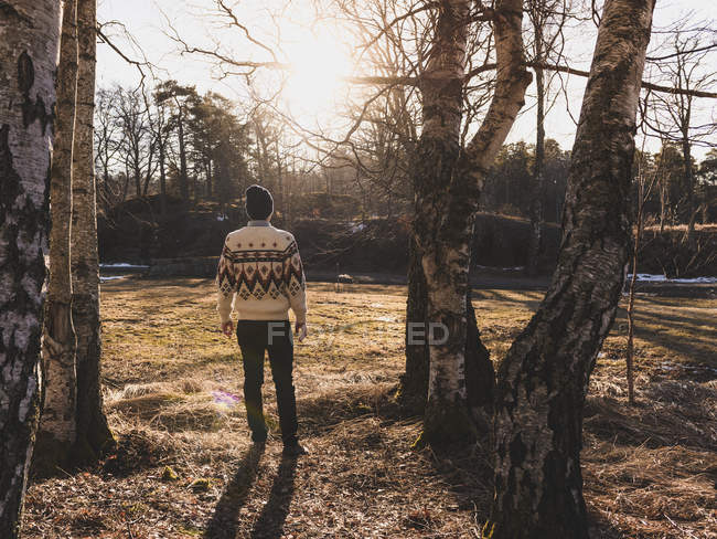Rear view of man at forest, selective focus — Stock Photo