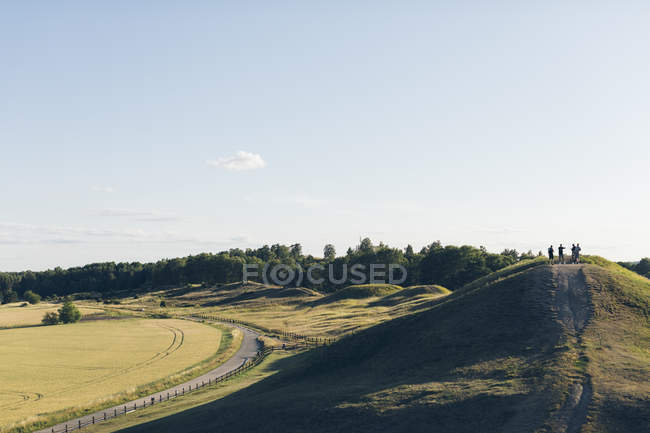 Vista panorámica del campo en Suecia - foto de stock