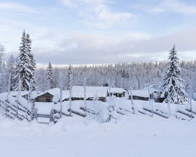Cerca e casas cobertas de neve — Fotografia de Stock
