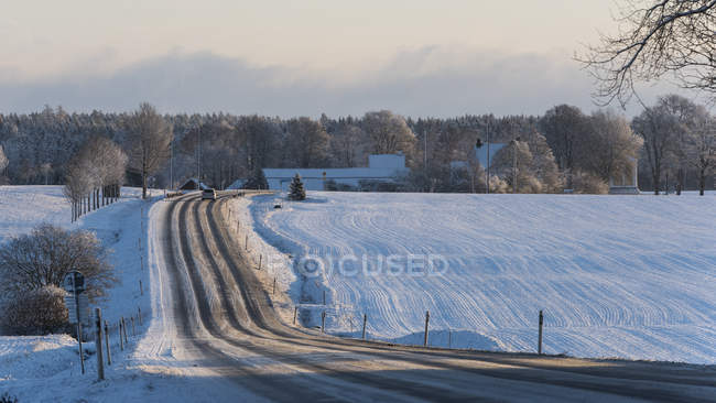 Ruta rural nevada en Stenta, Suecia - foto de stock