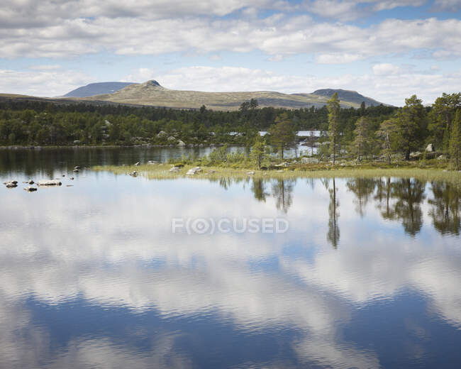 Lac dans la réserve naturelle de Tofsingdalen en Suède — Photo de stock