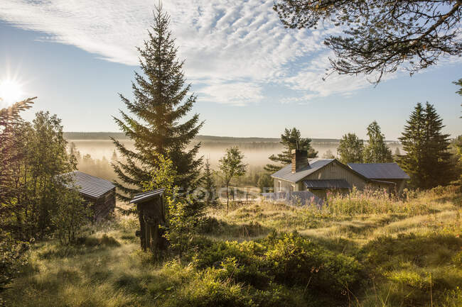 Casa rural e pinheiros em montanhas — Fotografia de Stock