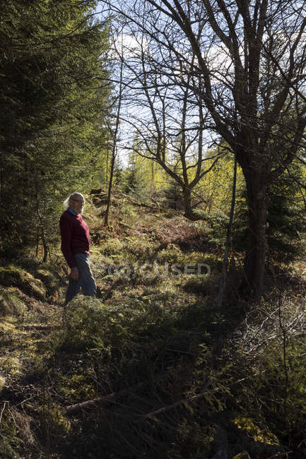 Пожилой человек, гуляющий по лесу, избирательный фокус — стоковое фото