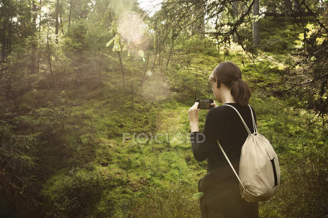 Femme prenant des photos dans la forêt — Photo de stock