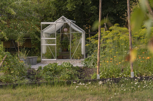 Gewächshaus im grünen Garten an Sommertagen — Stockfoto