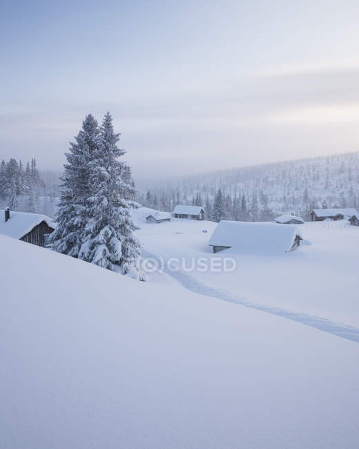 Cabanas de madeira cobertas de neve, foco seletivo — Fotografia de Stock
