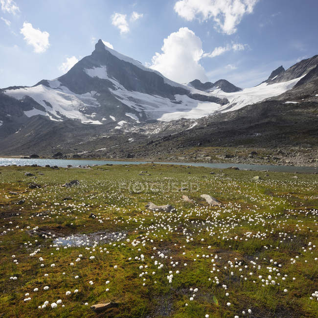 Mountain Bjornbrean no Parque Nacional Jotunheimen, Noruega — Fotografia de Stock