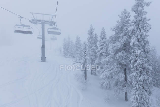 Ski lift by snow covered trees — Stock Photo