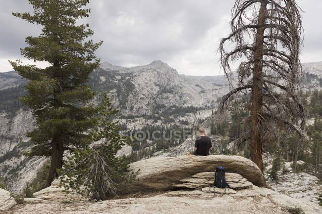 Homem sentado no tronco por árvores — Fotografia de Stock