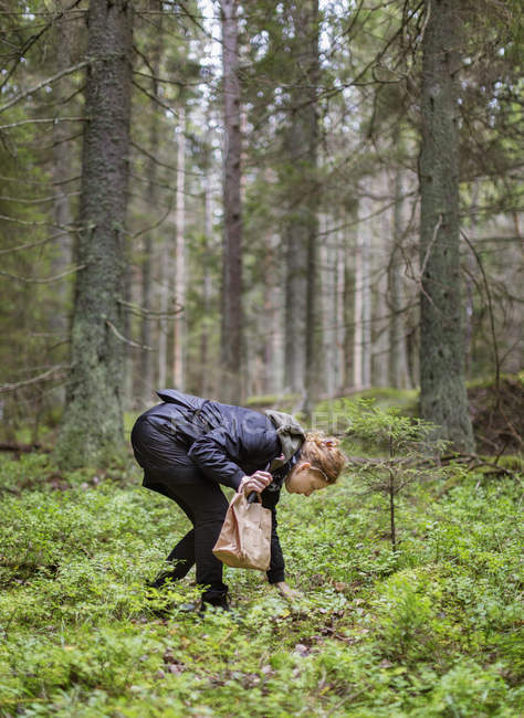 Woman picking mushrooms in forest, selective focus — Stock Photo