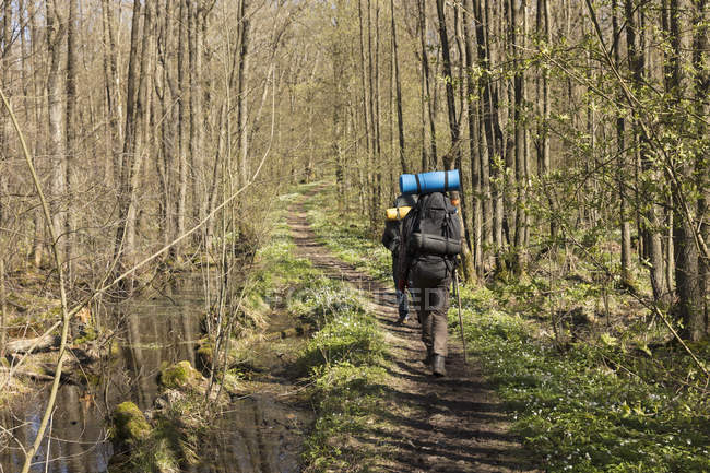 Hommes randonnée en forêt, focus sélectif — Photo de stock