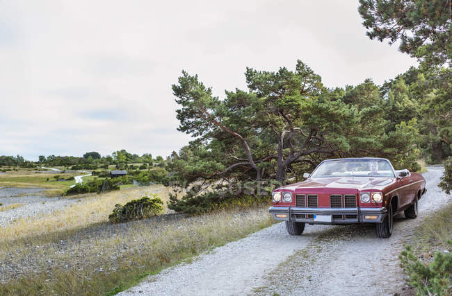 Зріла жінка подорожує по старовинному автомобілю на незайманій дорозі — стокове фото