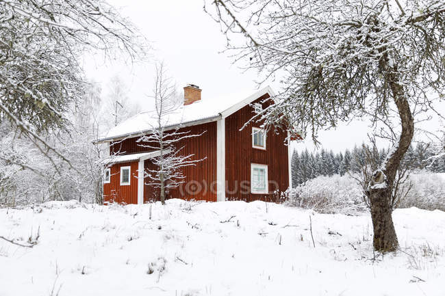 Red farmhouse in snow at winter — Stock Photo