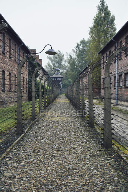 Caminho entre cercas no Campo de Concentração de Auschwitz — Fotografia de Stock