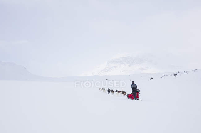 Uomo cane slittino sul sentiero Kungsleden in Lapponia, Svezia — Foto stock