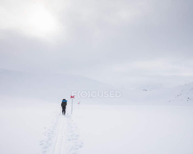 Mulher esquiando por marcadores em Kungsleden trail na Lapônia, Suécia — Fotografia de Stock