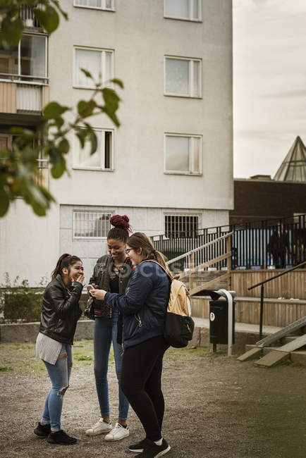 Teenager-Mädchen benutzen Smartphone im Park — Stockfoto