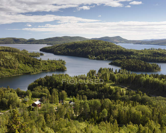 Floresta por rio em High Coast, Suécia — Fotografia de Stock
