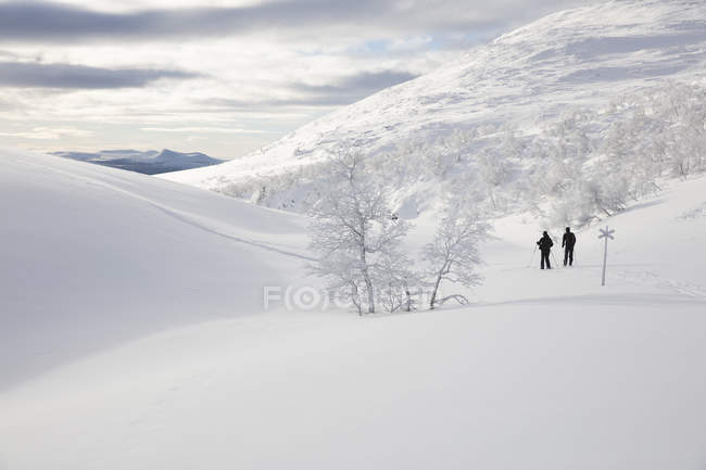 Hombres esquiando cerca de los árboles, enfoque selectivo - foto de stock