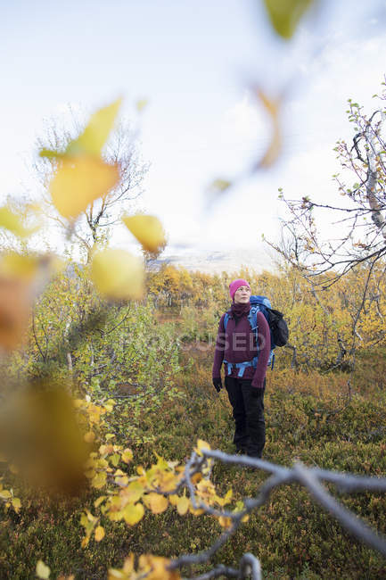 Mulher caminhando por árvores de outono, foco seletivo — Fotografia de Stock