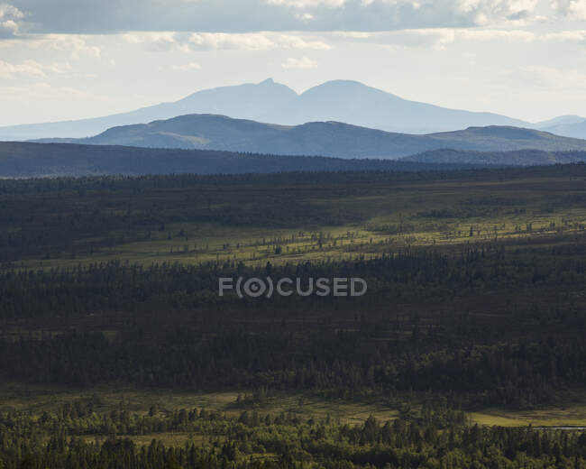 Incrível paisagem com árvores e montanhas cênicas, vista para o ângulo elevado — Fotografia de Stock