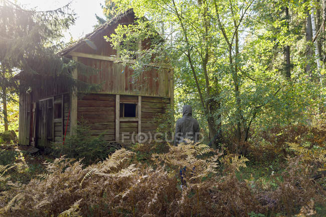 Mujer con abrigo por granero en el bosque - foto de stock